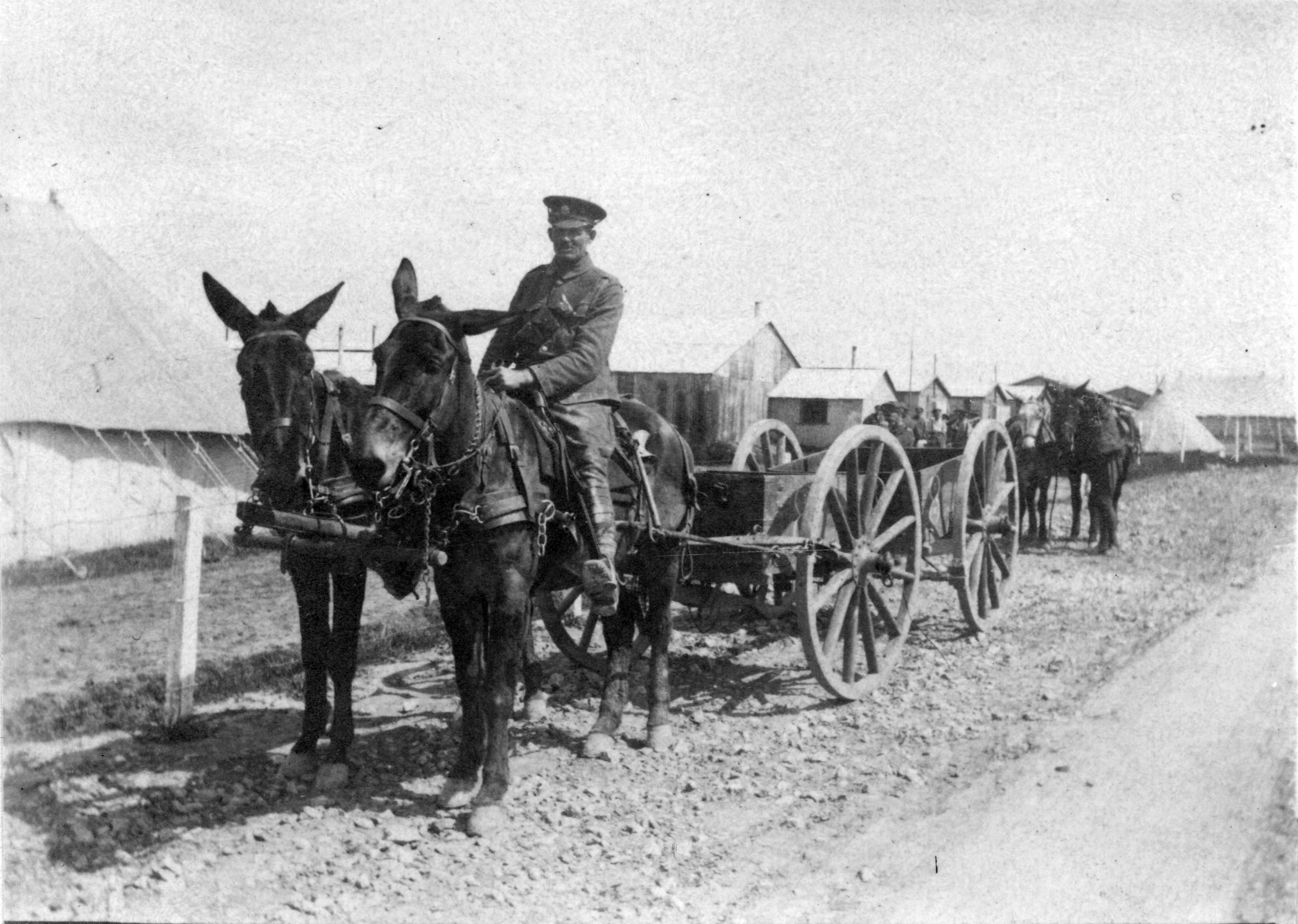 A donkey-drawn cart outside No. 5 Canadian General Hospital.jpg